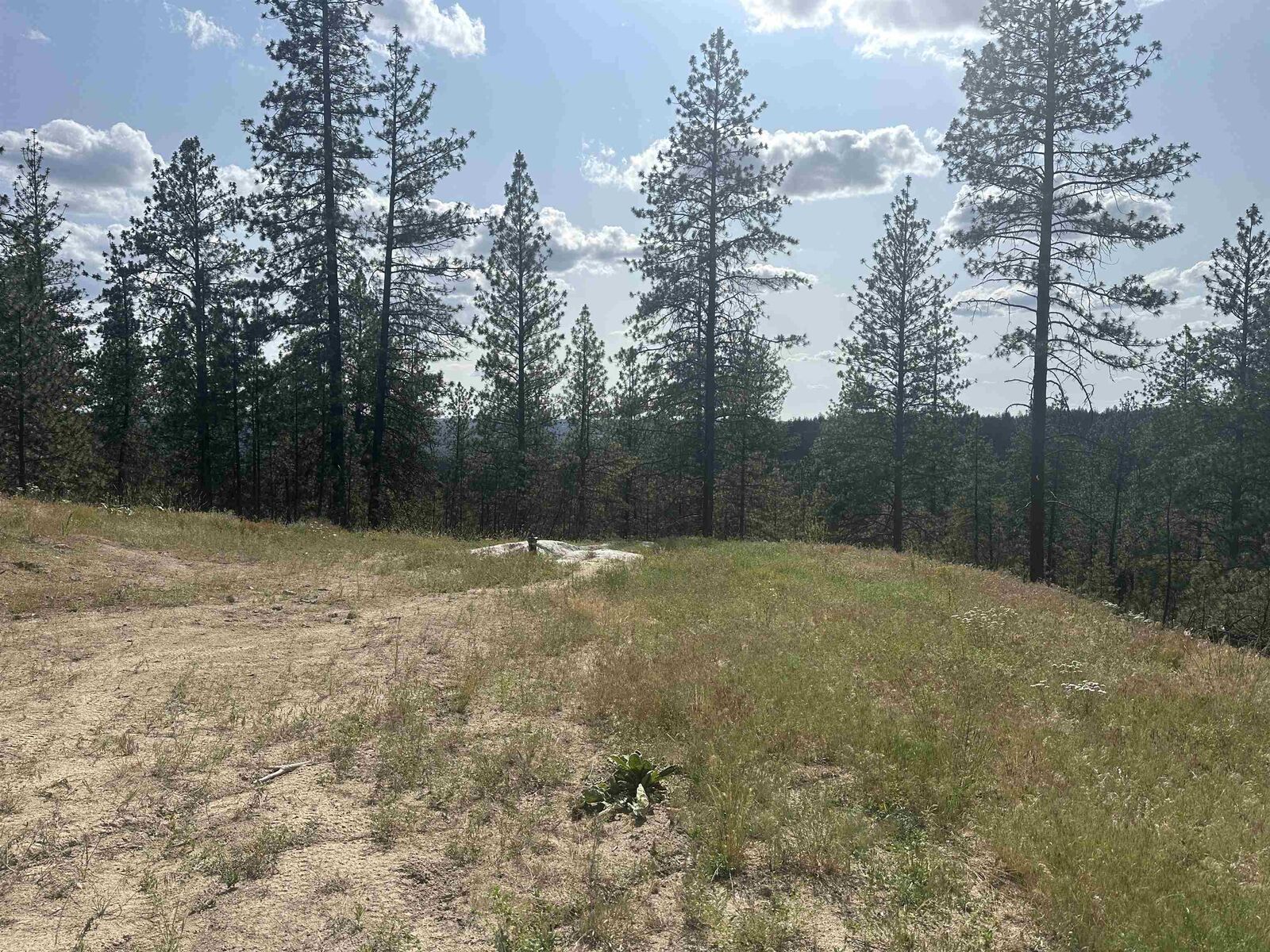 Property Photo:  Nka Lower Weaver Way Lot B  WA 99006 
