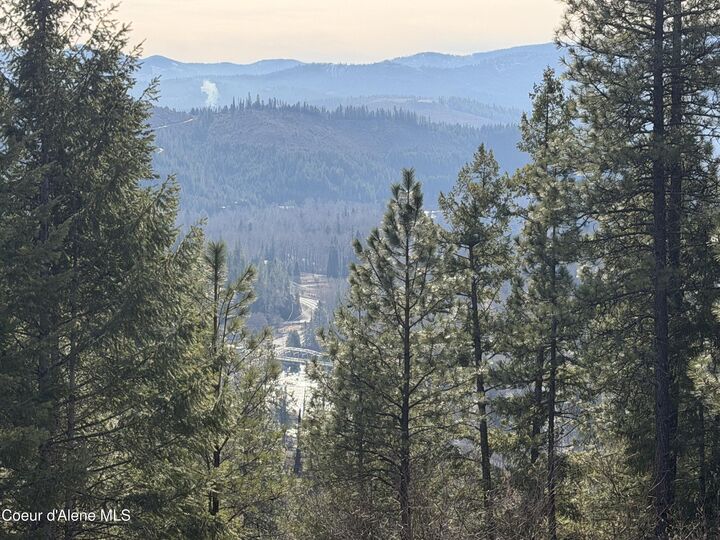 Property Photo:  Nna Cda River Rd/McPhee Gulch  ID 83839 