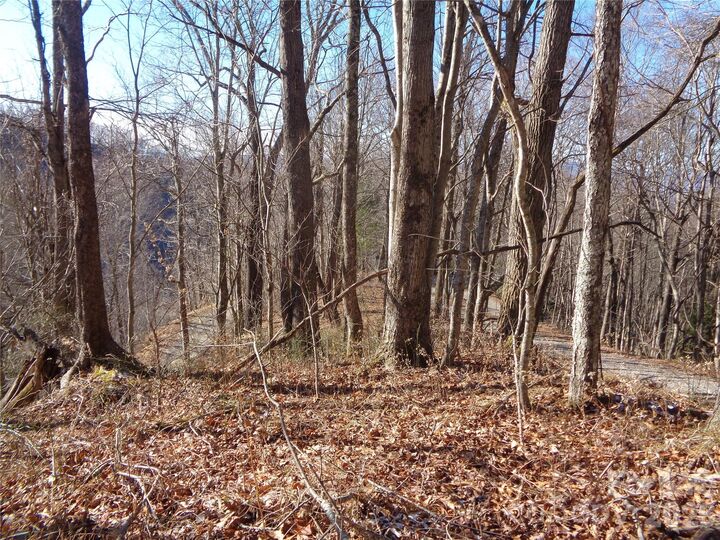 Property Photo:  000 Listening Cove 42  NC 28721 