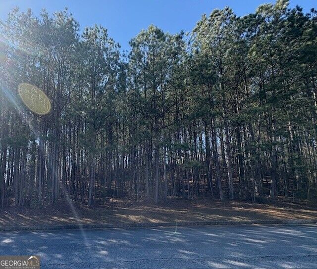 Property Photo: 4385 Bronte Lane GA 30135