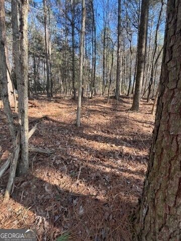 Property Photo: Lot 36R Lakeview Lane GA 30536