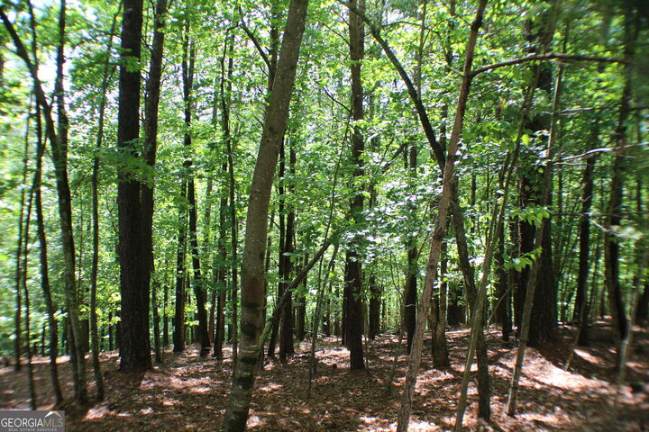 Property Photo:  Lot 36R Lake View Lane  GA 30536 