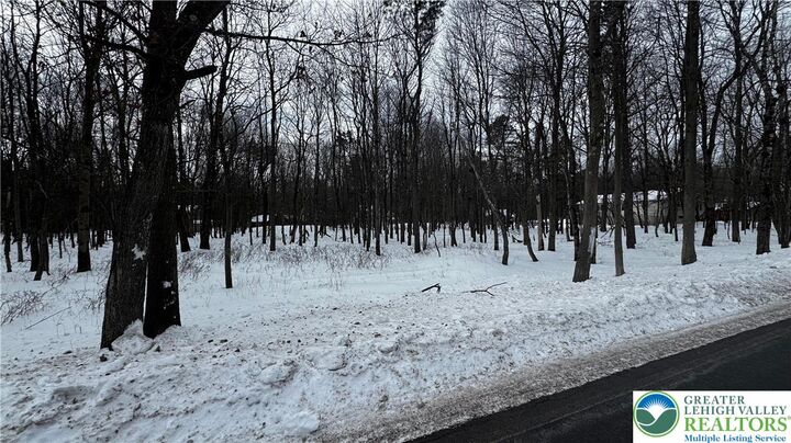 Property Photo:  Stony Mountain Road Lot Ev961  PA 18210 