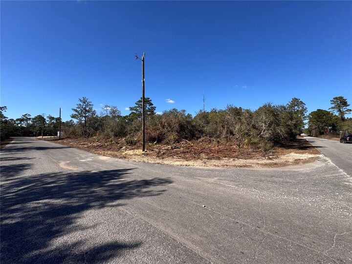 Property Photo:  Fisher Pass  FL 32179 