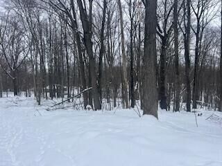 Property Photo:  9980 Red Deer Court  MI 49346 