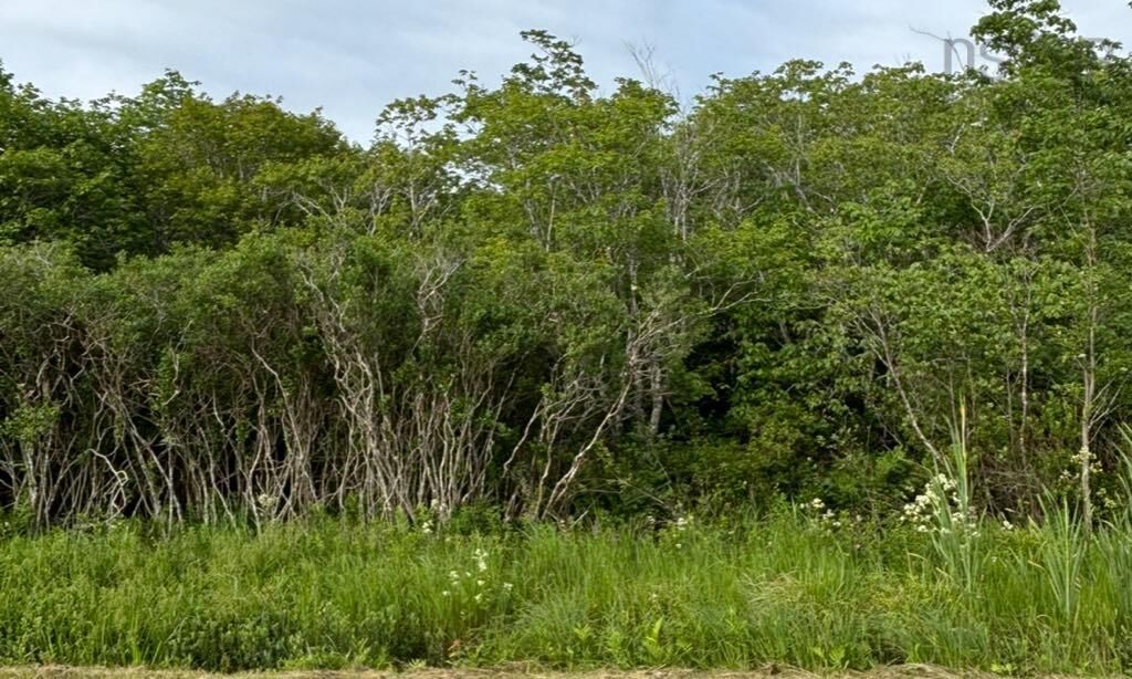 Property Photo:  Highway 1  NS B0W 1M0 
