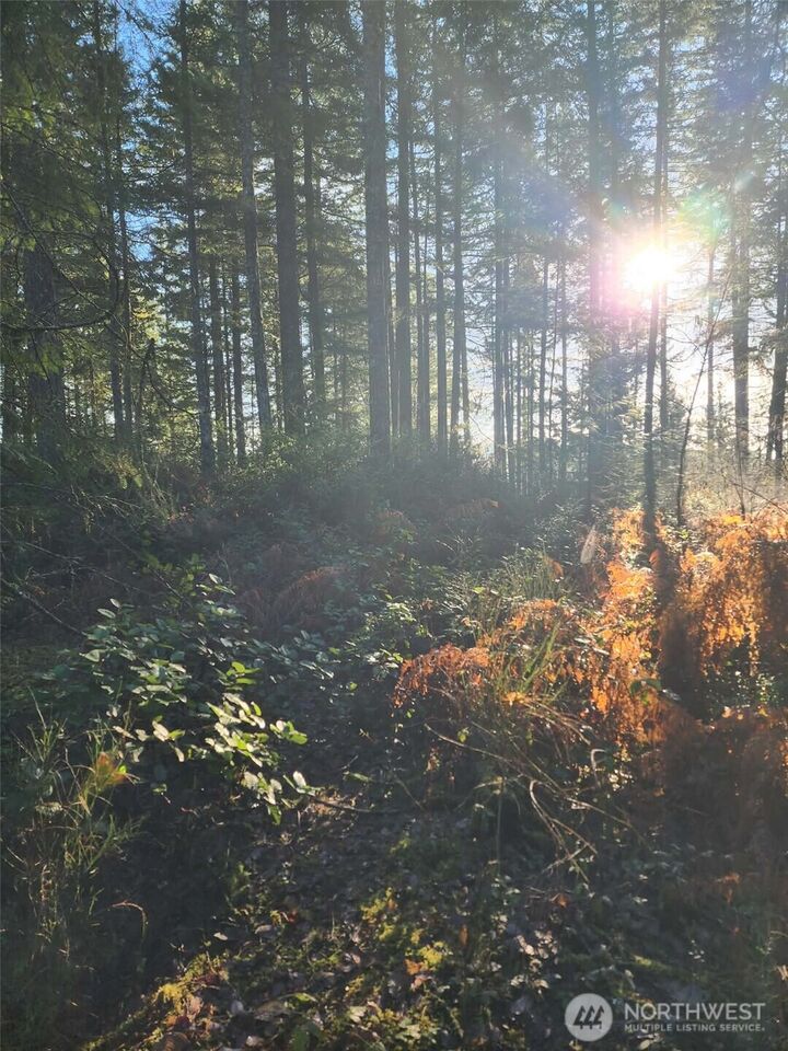 Property Photo:  91 E Tepee Lane  WA 98528 