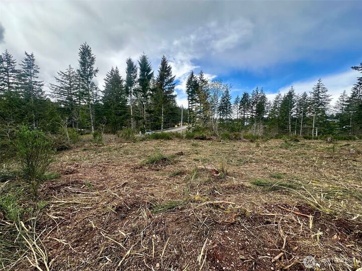 Property Photo: 0 Lot 5 E Pickering Road WA 98584
