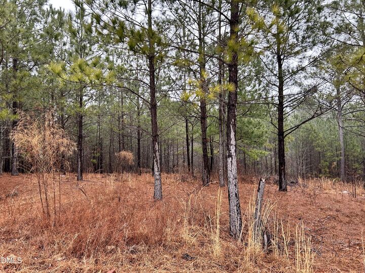 Property Photo: 195 Appleton Way NC 27332