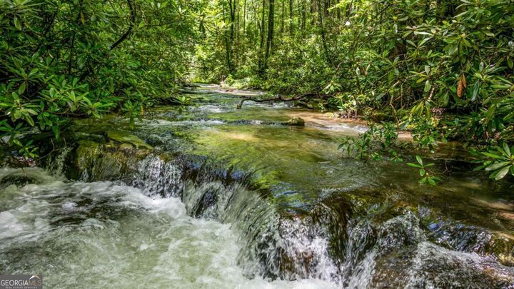 Property Photo: 10323 Grassy Mountain Road GA 30540