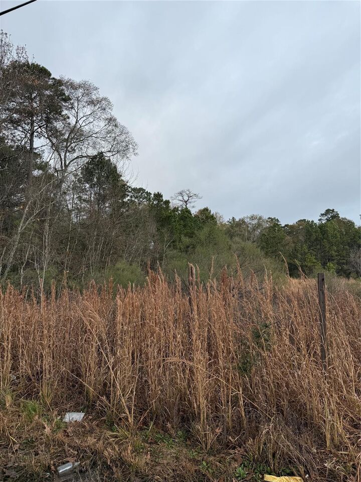 Property Photo:  Tbd River E  TX 77372 