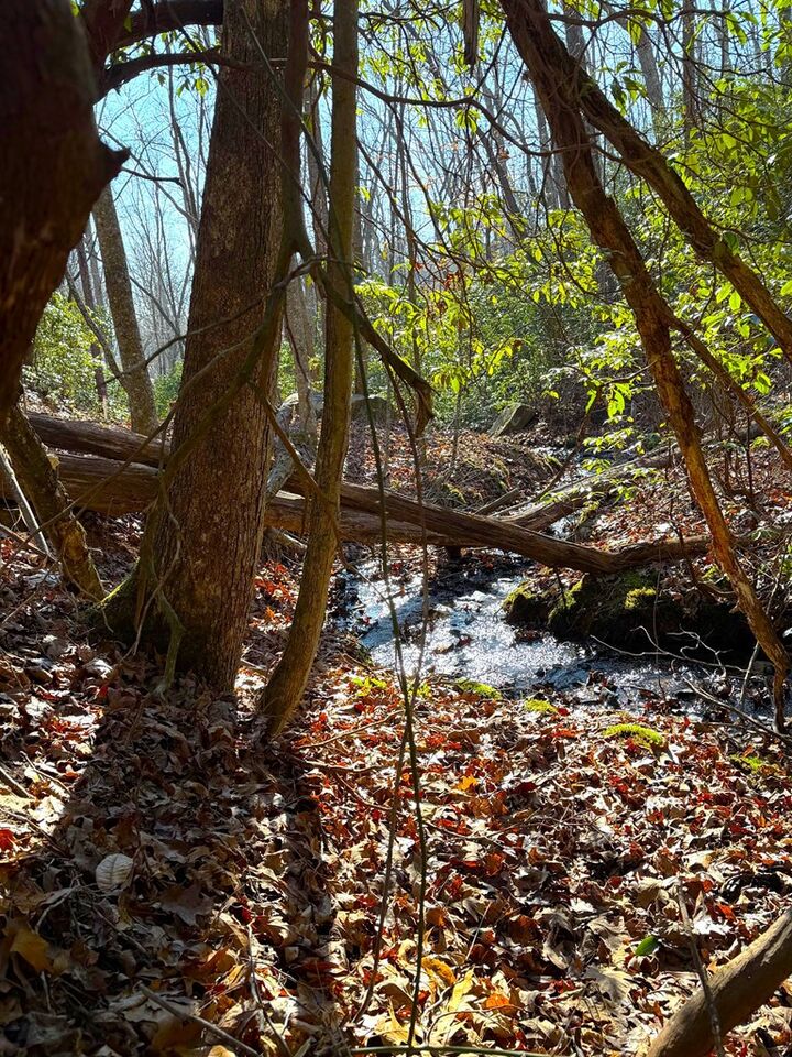 Property Photo: 23 Surrey Trail NC 28906