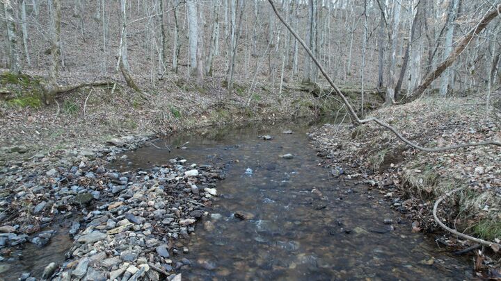 Property Photo:  3795 Wayland Springs Rd  TN 38463 