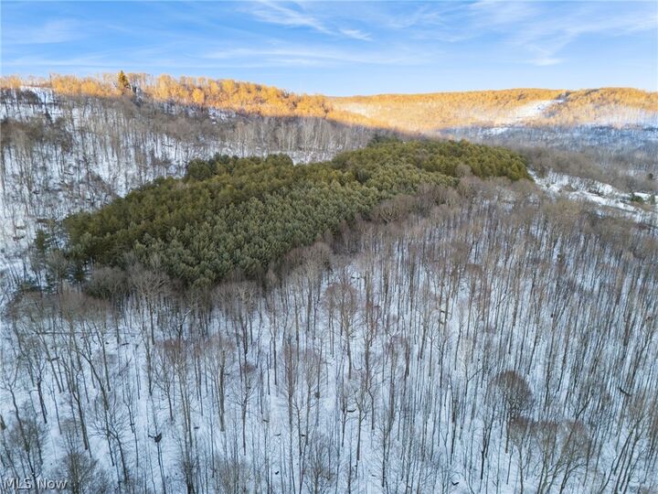 Property Photo:  Grimms Bridge Road  OH 43920 