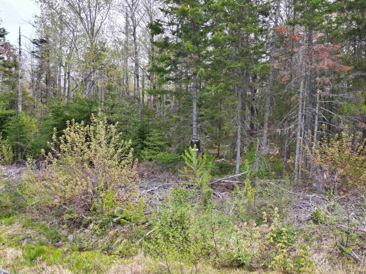 Property Photo:  Lot 23-5 Whiskey Way  NS B0M 1Z0 