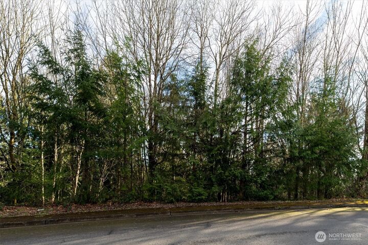 Property Photo:  0  Curtis Drive  WA 98632 