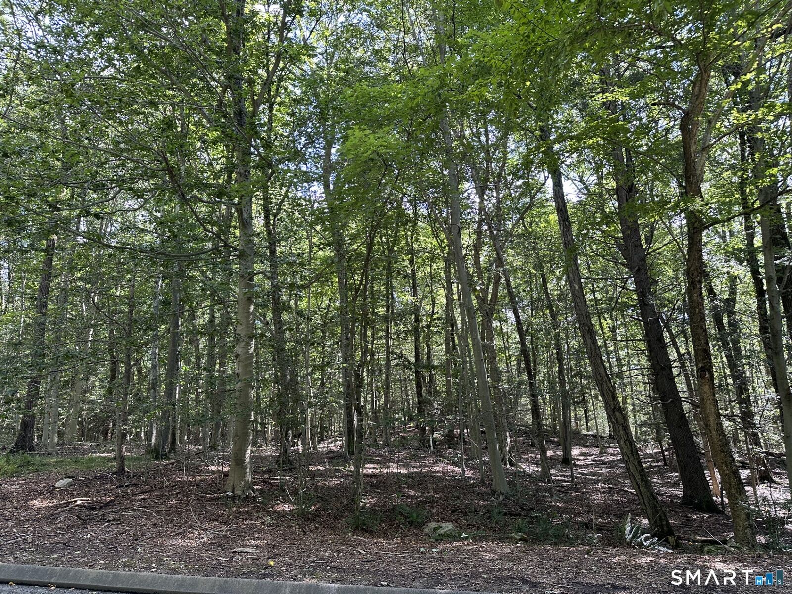 Property Photo:  Lot #6 South Brook Drive  CT 06904 