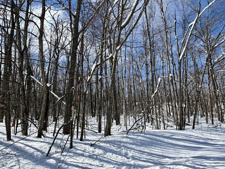 Property Photo:  L 683-684 Cedarhurst Drive  MI 49721 