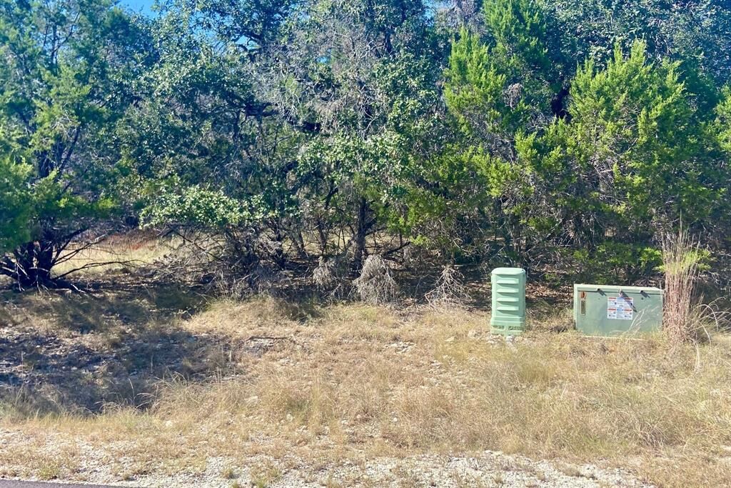 Property Photo:  21504 Santa Elena Circle  TX 78645 