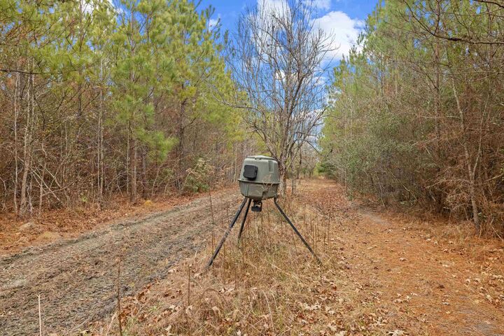 Property Photo: Tbd 183 Acres Blakely Rd. SC 29590