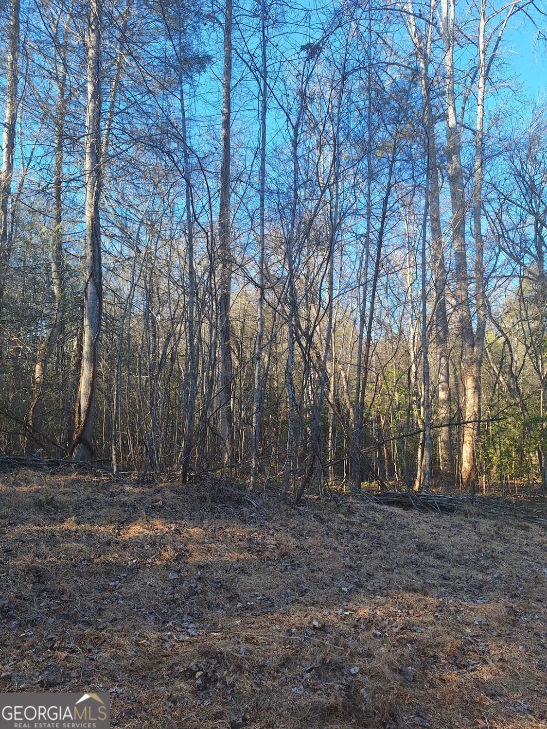 Property Photo: Lots 15A 16A 17 Mill Creek Acres Lane GA 30513