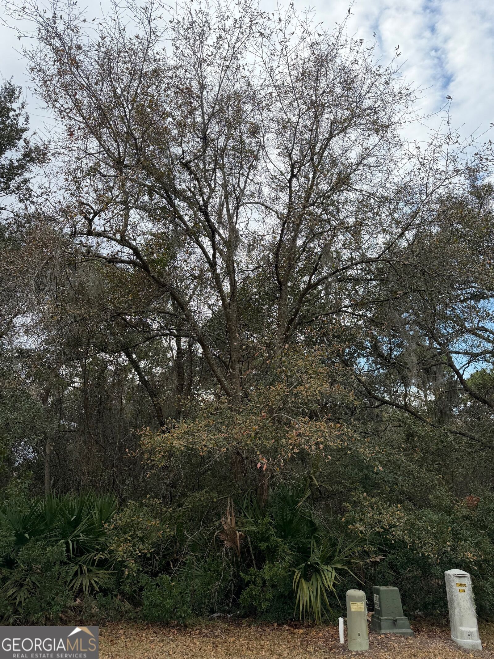 Property Photo:  V/L 823 Stern Street  GA 31558 