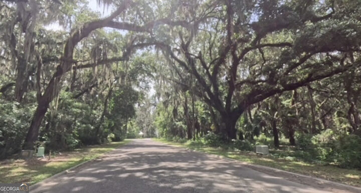 Property Photo:  918 Wagner Lane  GA 31558 