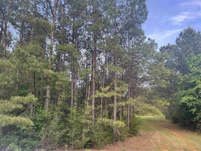 Property Photo:  Cr 477  TX 75654 