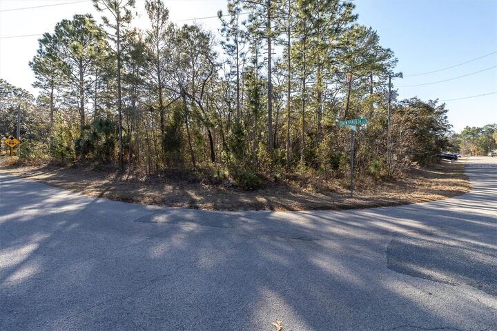 Property Photo:  30 Bells Of Ireland Court  FL 34446 