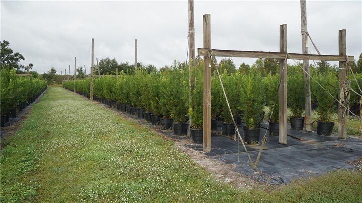 Property Photo:  Douglas Road  FL 34736 