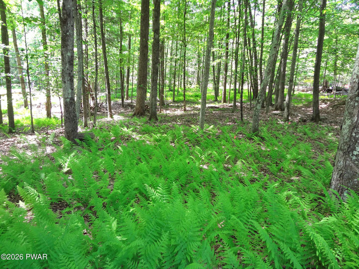 Property Photo:  10 &Amp 11dr South Briar Hill &Amp W. Lakeside Drive  PA 18438 