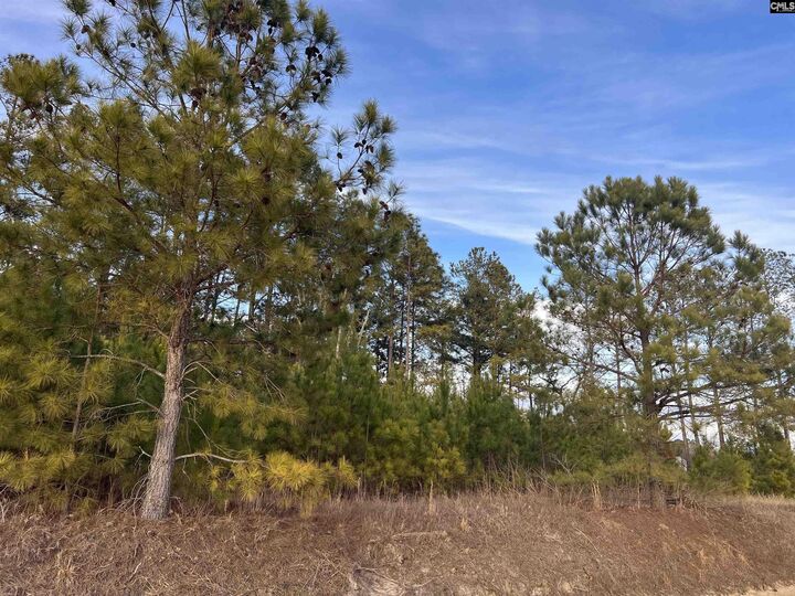 Property Photo: Bluefield SC 29073