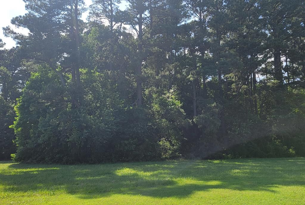 Property Photo: Lot 67 Atlantic St VA 23301