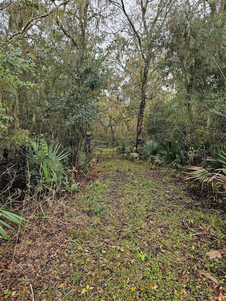 Property Photo:  1070 County Road 136 / Live Oak  TX 77482 