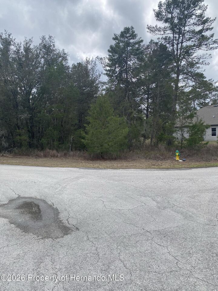 Property Photo:  6 Pepper Court  FL 34446 