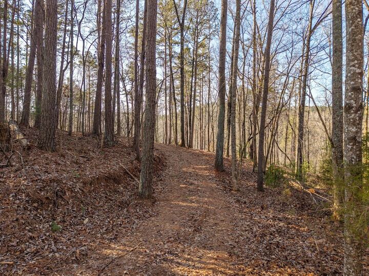 Property Photo:  1665 Hunter Drive  GA 30175 