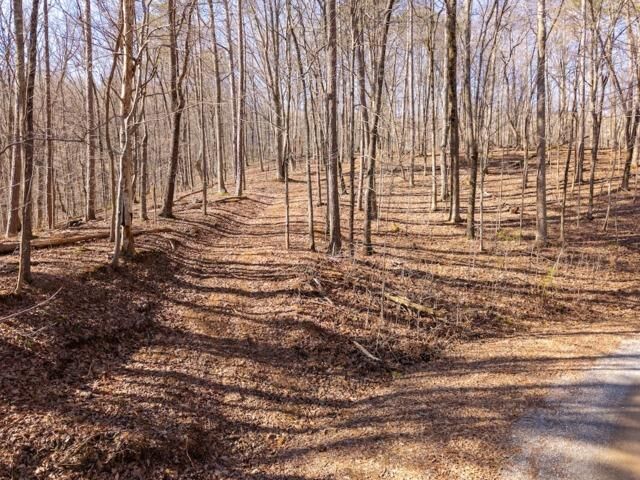 Property Photo:  1110 Mayfield Lane  GA 30734 