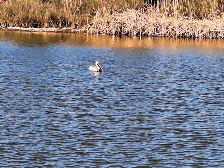 Property Photo:  53337 Highway 433 Highway  LA 70461 