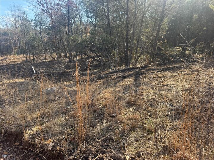 Property Photo:  Tbd 2.43 Acres County Rd 3271  AR 72616 