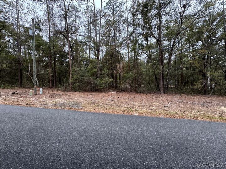 Property Photo:  10364 N Academy Drive  FL 34434 