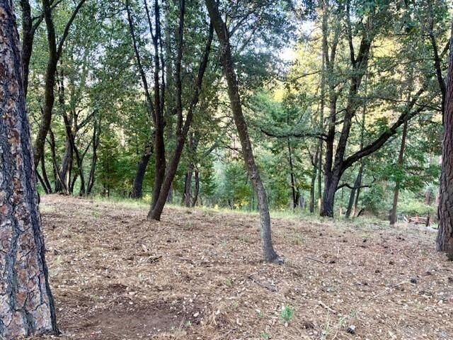 Property Photo:  12301 Tower Peak Ct  CA 95321 