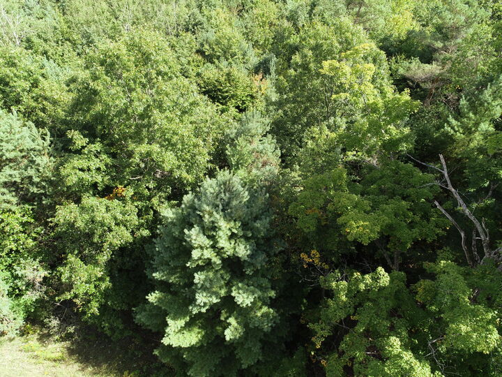 Property Photo: 00 N Hawkins Road MI 49656