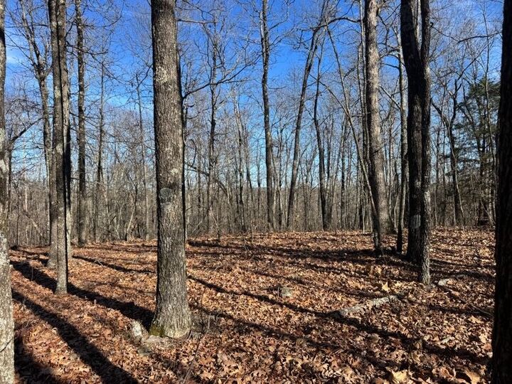 Property Photo:  Tbd 001 Plumlee Rd  AR 72611 