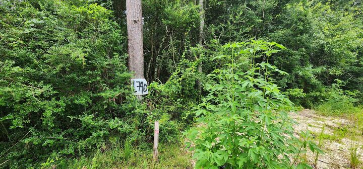 Property Photo:  1790 Old Nona Rd  TX 77625 