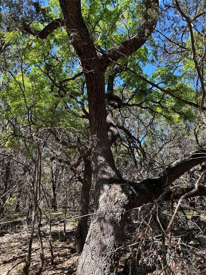 Property Photo:  37 Heathrow Lane  TX 78676 