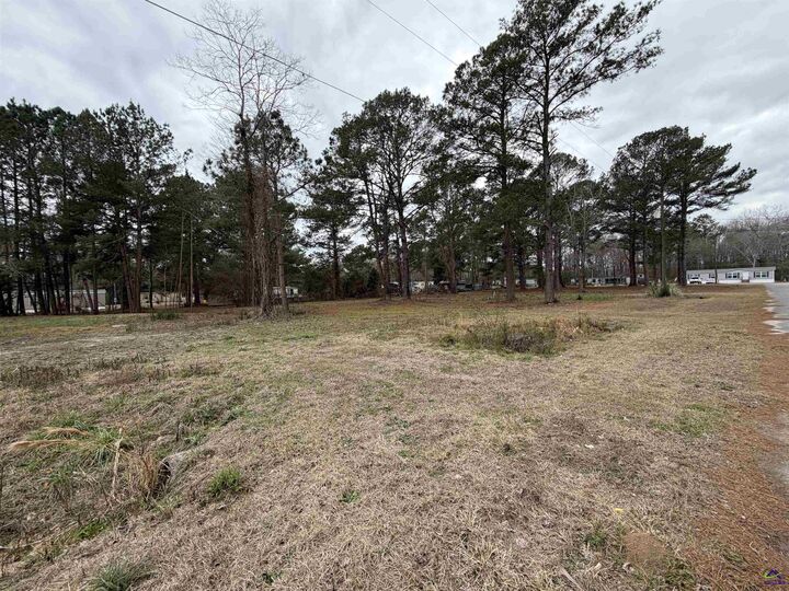 Property Photo:  107 Persimmon Drive  GA 31047 