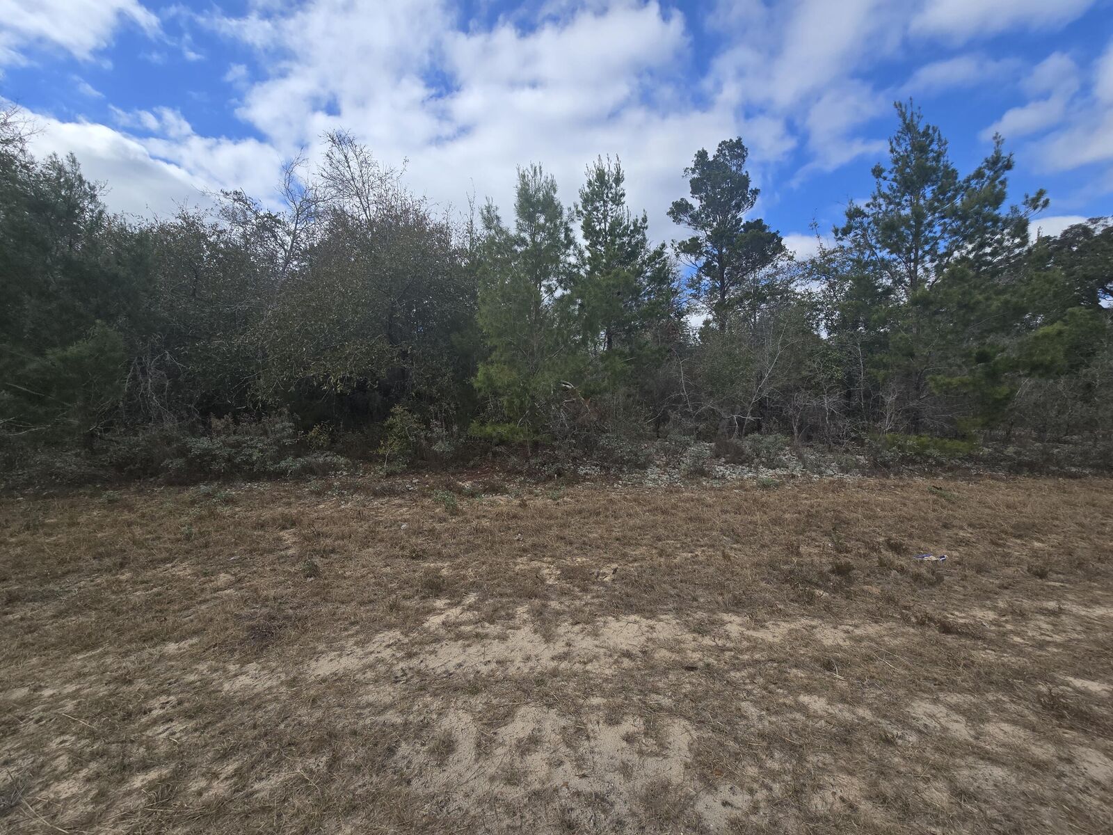 Property Photo:  Tbd Hampshire Boulevard  FL 32428 