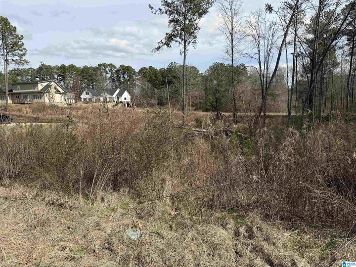 Property Photo:  1116 Baylor Court 66  AL 35128 