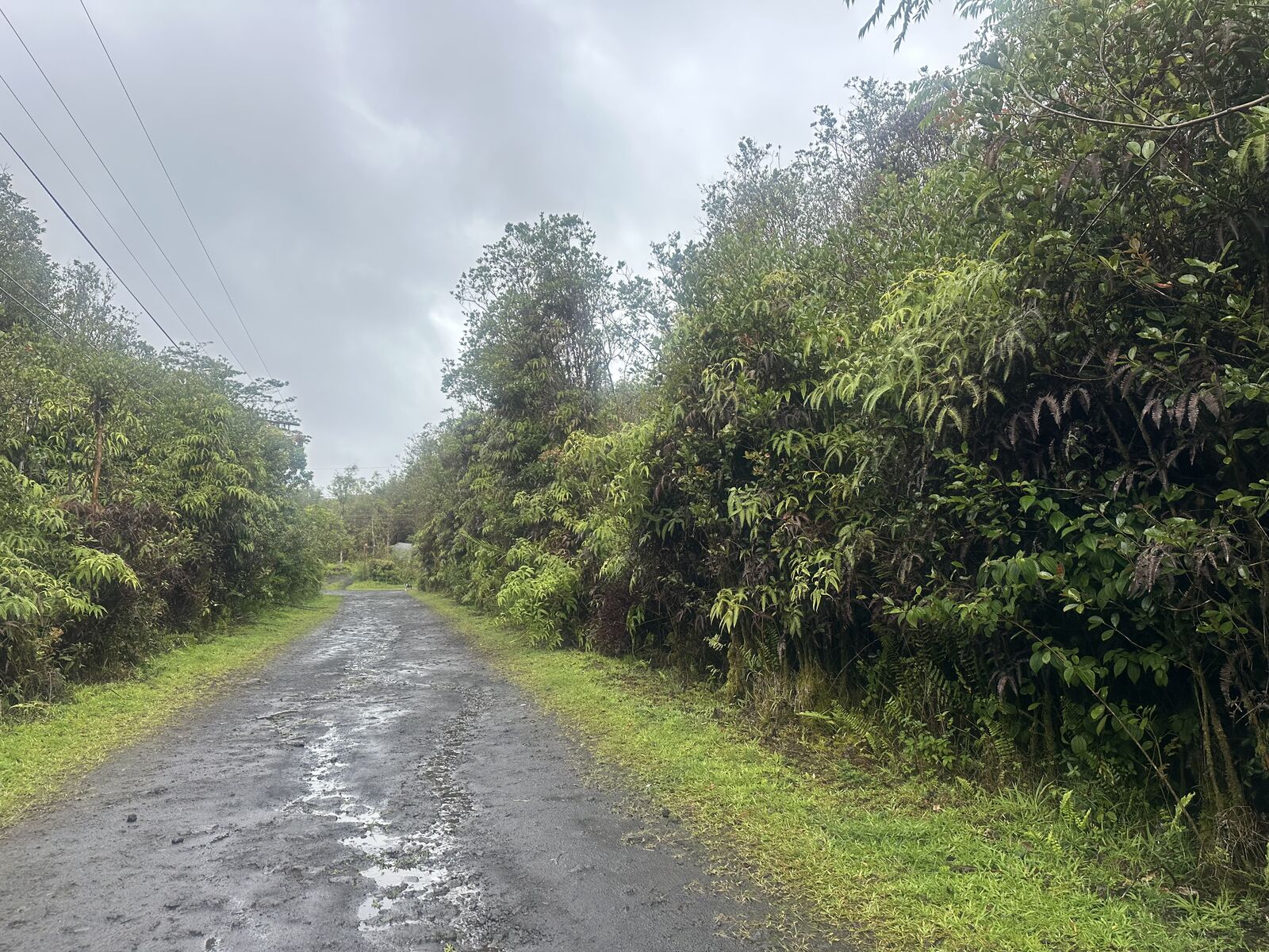 Property Photo:  Palm Tree Dr  HI 96771 