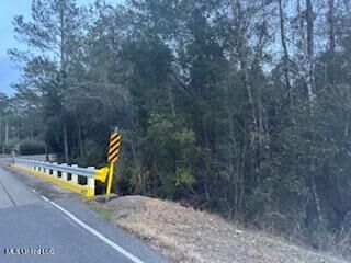 Property Photo:  Paige Bayou Road  MS 39565 